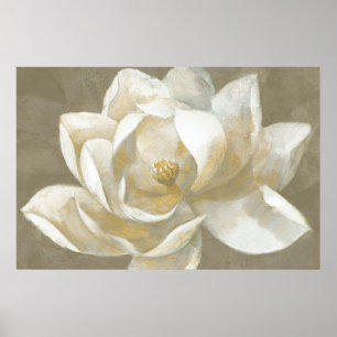 Pôster Magnólia Majestosa