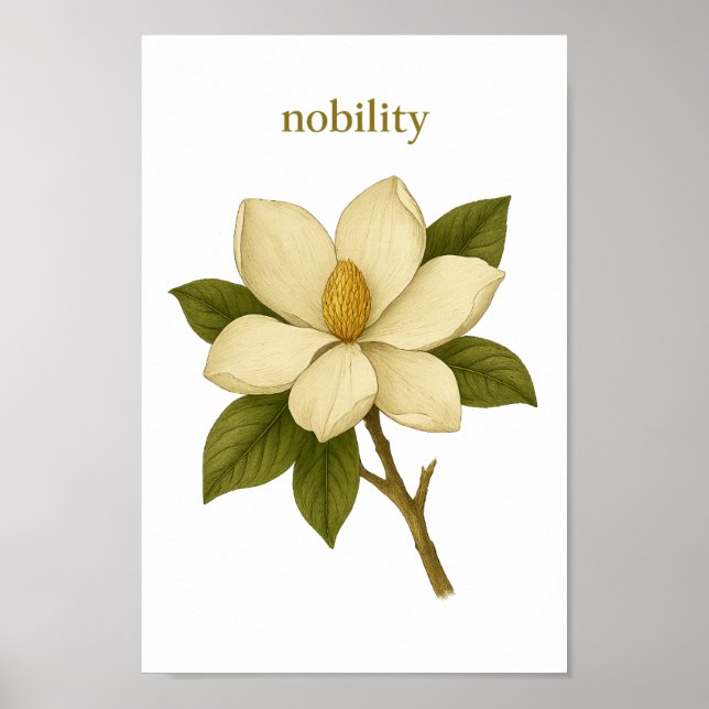 Poster Magnolia - Nobilidade (Frente)