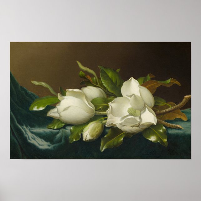 Poster Magnolias on Light Blue Velvet ,Famous Painting (Frente)
