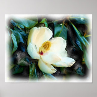 Poster Magnoly Blossom Oil Painting Digital Art