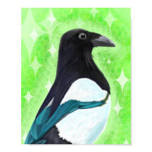 Magpie Inquisitivo