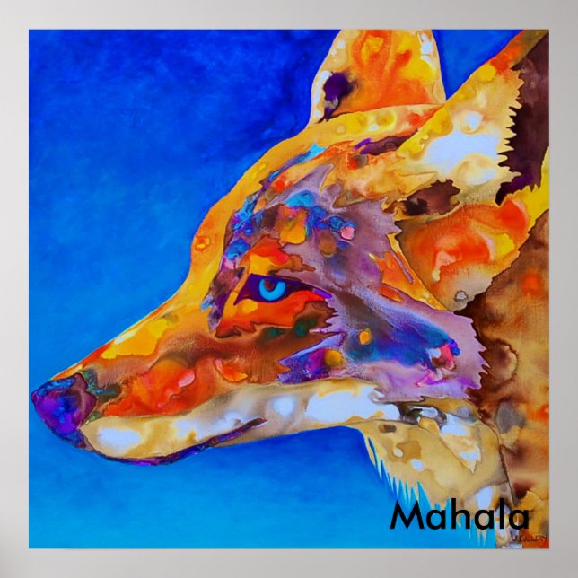 Pôster Mahala (Frente)