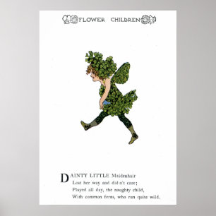 Poster Maidenhair