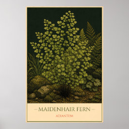 Poster Maidenhair Fern – Vintage Botanical Illustration