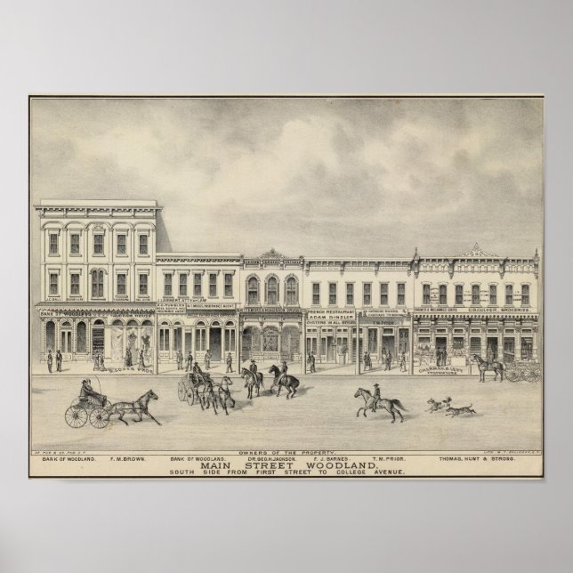Pôster Main St Woodland 2 (Frente)