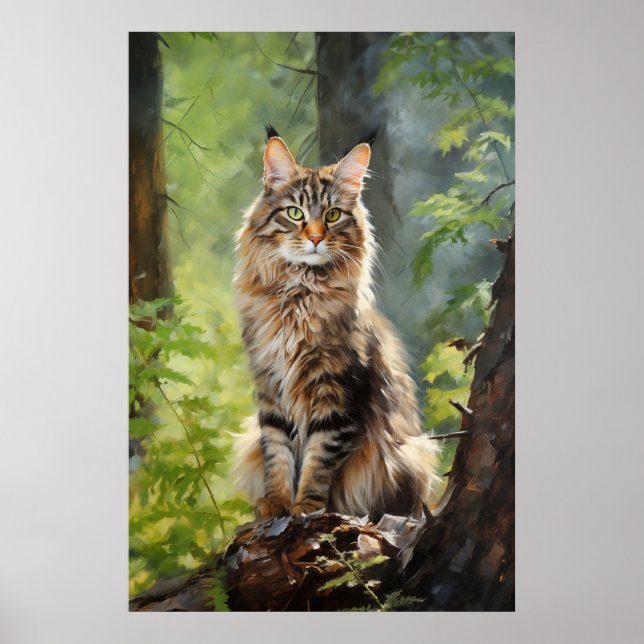 Poster Maine Coon cat (Frente)
