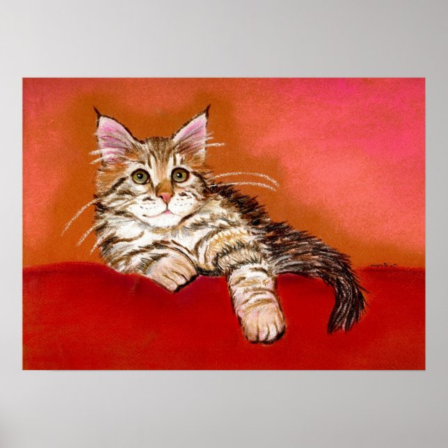 Poster Maine Coon Kitten (Frente)