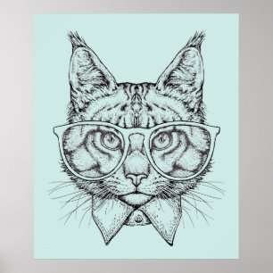 Poster Maine Coon Portrait