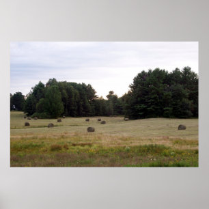 Pôster Maine Landscape