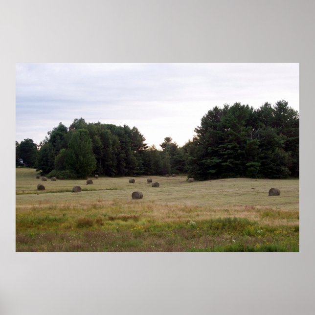 Pôster Maine Landscape (Frente)