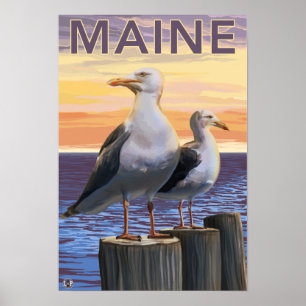 Poster MaineSea Gulls a cena