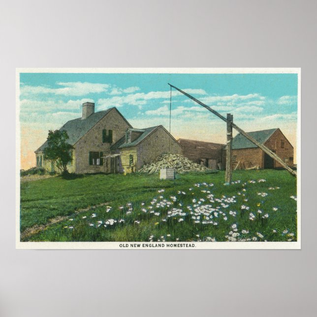 Poster MaineView de um Antigo Homestead da Nova Inglaterr (Frente)