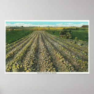 Poster MaineView de uma fazenda da batata em Maine
