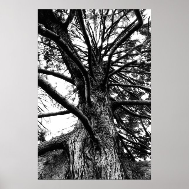 Pôster Mais alto do que você pensa (Frente)