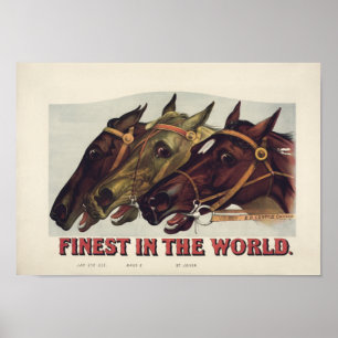 Poster Mais fino no mundo - corrida de cavalos do vintage