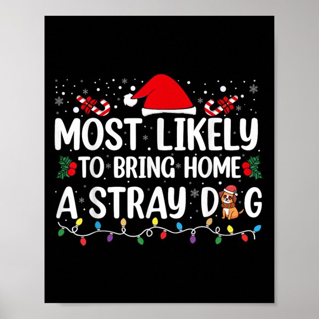 Poster Mais Provável De Levar Para Casa Um Cachorro Aband (Frente)