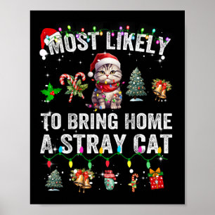 Poster Mais Provável Para Trazer Para Casa Um Gato Estran