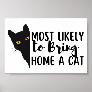 Poster Mais Provável Para Trazer Um Gato Para Casa
