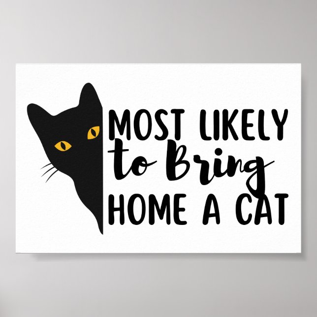 Poster Mais Provável Para Trazer Um Gato Para Casa (Frente)