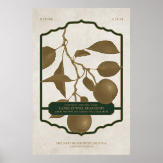 POSTER MAIS TARDE, ELA VAI OSTENTAR A FRUTA V2