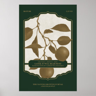 POSTER MAIS TARDE, VAI OSTENTAR FRUTA
