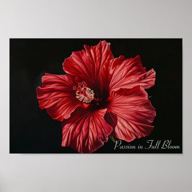 Poster Majestade Crimson: O Bold Hibiscus (Frente)