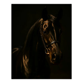 Pôster Majestätischer Fuchsbrauner Hengst im Dunkeln