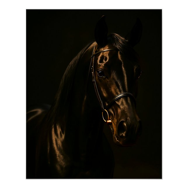 Pôster Majestätischer Fuchsbrauner Hengst im Dunkeln (Frente)