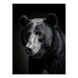 Pôster Majestic Bear Portrait - Black and White Wildlife