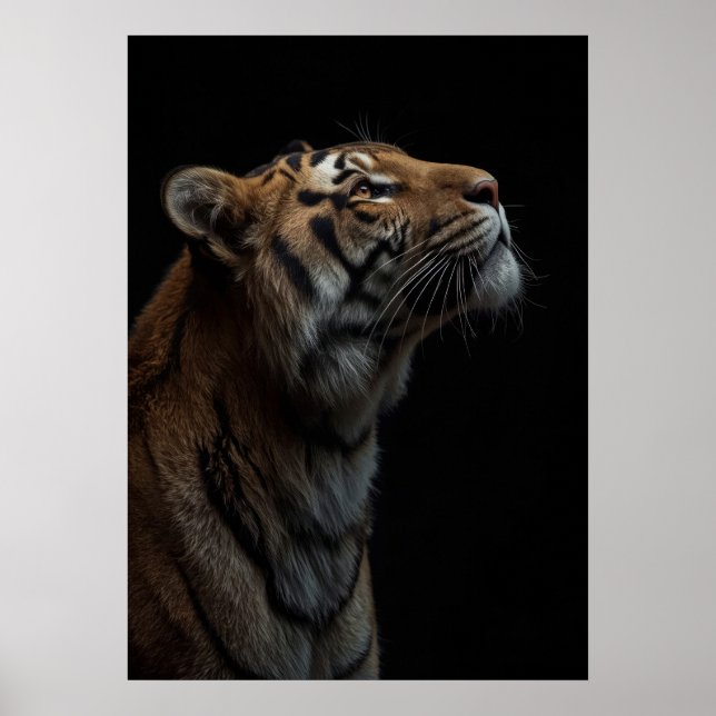 Poster Majestic Bengal Tiger Wildlife Portrait (Frente)