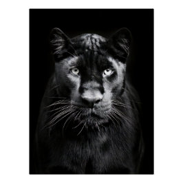 Pôster Majestic Black Panther Portrait