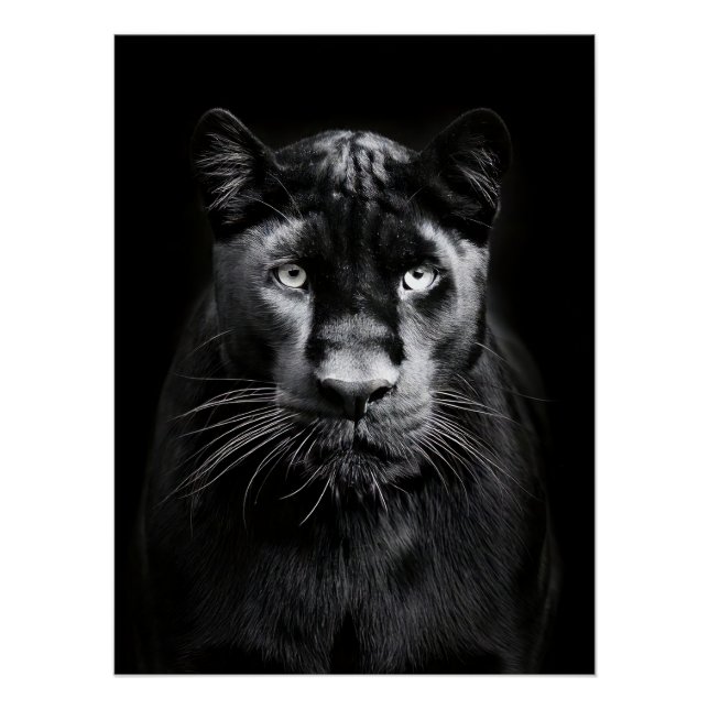Pôster Majestic Black Panther Portrait (Frente)