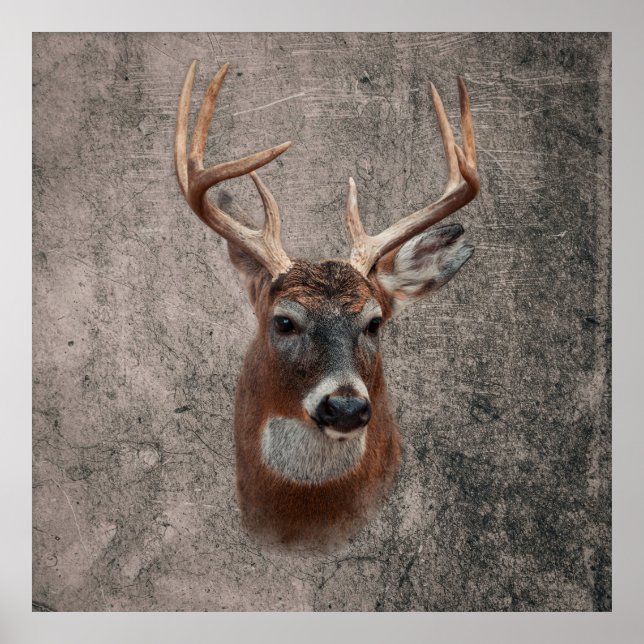 Poster Majestic Deer Against Rustic Background (Frente)