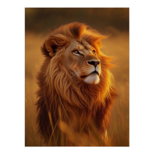 Pôster Majestic Golden Lion Sunset Glossy Poster (Frente)