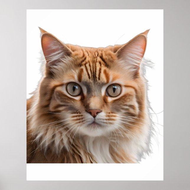 Poster Majestic Orange Tabby Cat Portrait (Frente)
