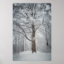 Poster Majestosa faia no bosque invernal