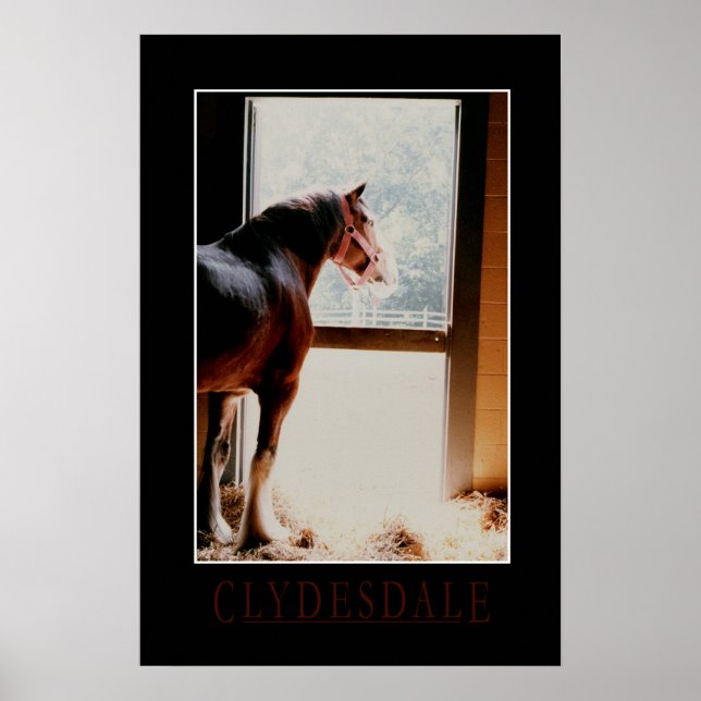 Poster Majexpressas Clydesdale (Frente)
