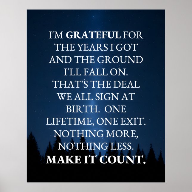 Poster Make It Count! (Frente)