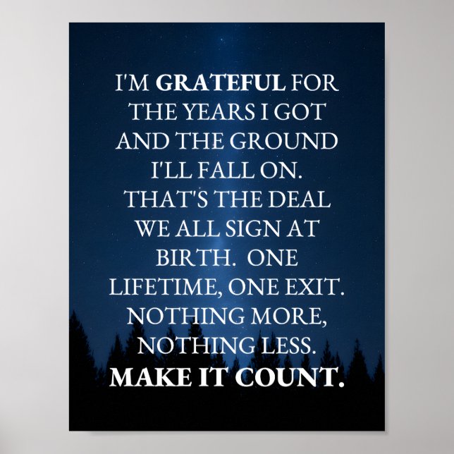 Poster Make It Count! (Frente)