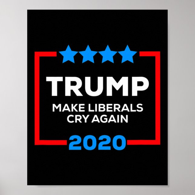 Poster Make Liberals Cry Again Funny Pro Trump 4th Of Jul (Frente)