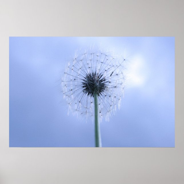 Poster Makin' Wish (Frente)