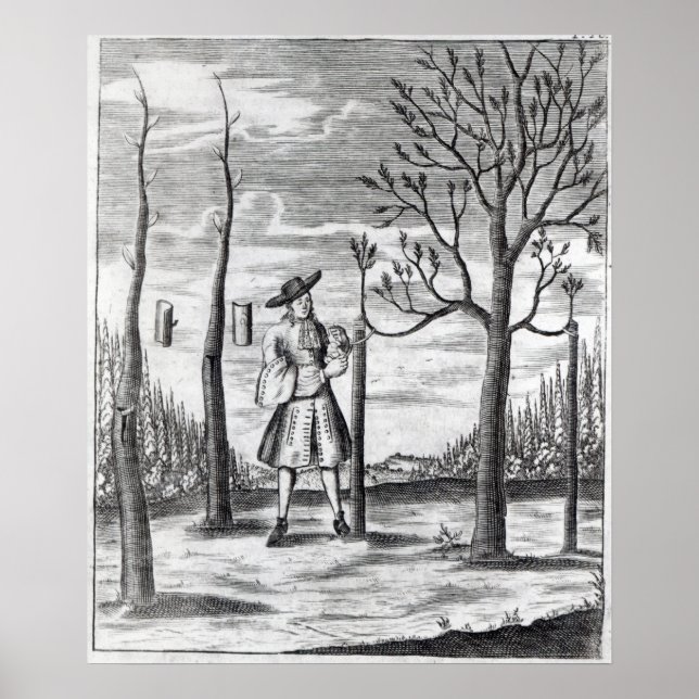 Pôster Maladias de jardinagem e de plantas (Frente)