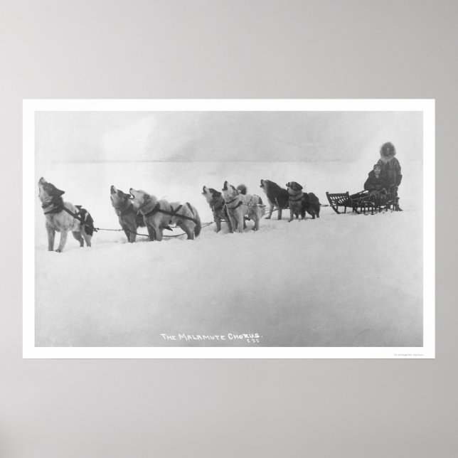 Poster Malamute Chorus Alaska 1920 (Frente)