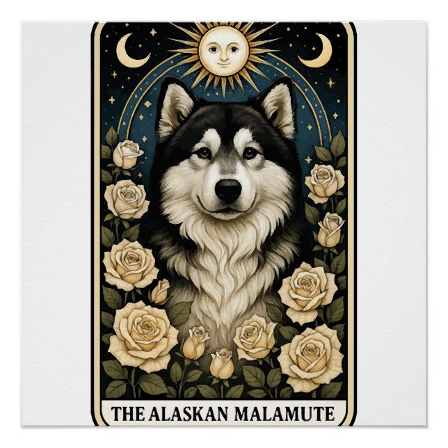 Pôster Malamute do Alasca (Frente)