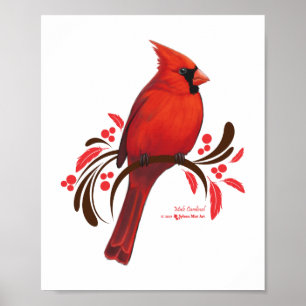 Poster Male Cardinal