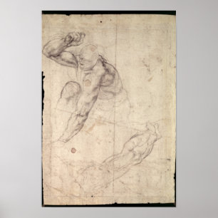 Pôster Male figure study
