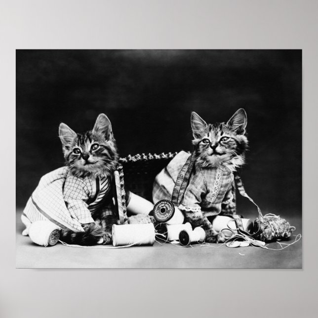 Poster Malfeitores - Harry Whittier Frees (Frente)