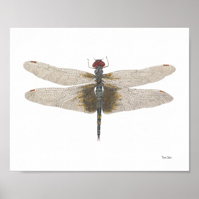 Pôster Malho Negro Saddlebags Dragonfly Watercolor (Frente)