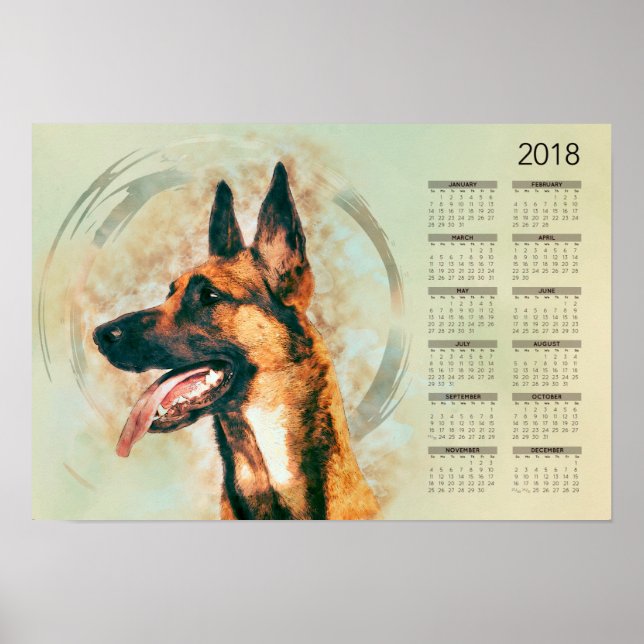 Pôster Malinois Belga - Mecelaar - Calendário 2018 (Frente)