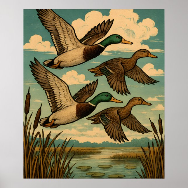 Poster Mallard Ducks in Flight Wildlife Art (Frente)